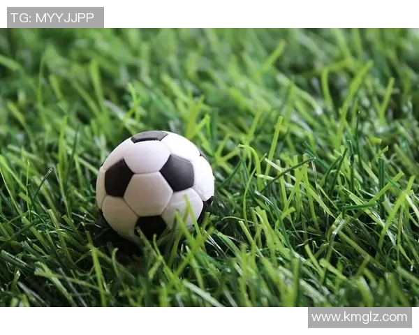 无网足球：重拾纯粹快乐与团队精神的草地竞技之旅